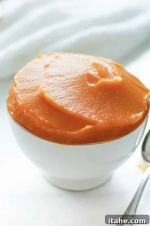 Homemade Pumpkin Puree - Your Essential Fall Baking Ingredient Homemade Pumpkin Puree - A perfect base for fall baking, showing a whole pumpkin and prepared puree in a bowl
