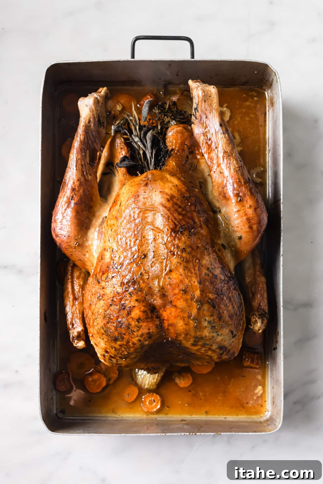 roasted turkey in roasting pan. 