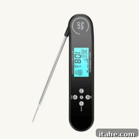 Meat thermometer