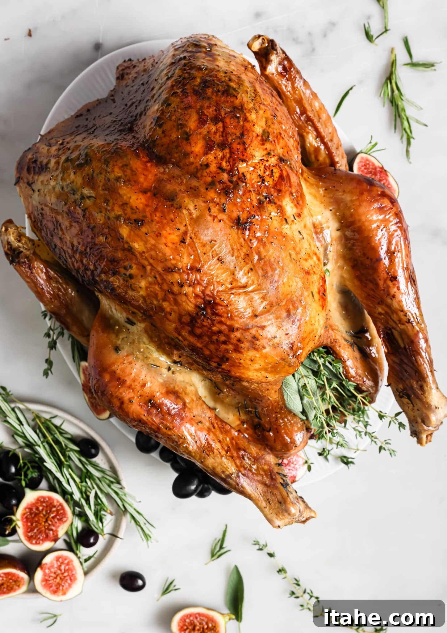 overhead view of thanksgiving turkey on a serving platter. 