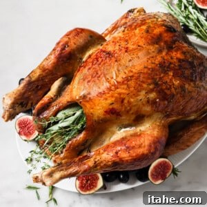 Garlic Butter Roasted Turkey