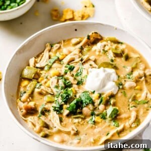 A close-up of the finished White Chicken Chili, garnished with fresh cilantro in a rustic bowl.