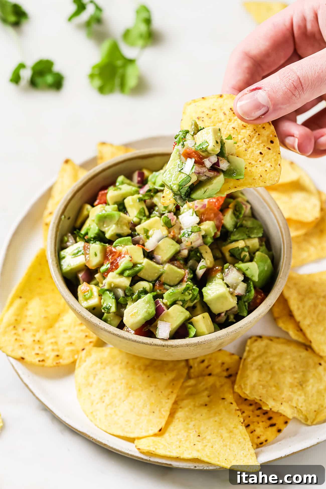 A beautifully presented bowl of avocado salsa resting on a plate filled with crispy tortilla chips.