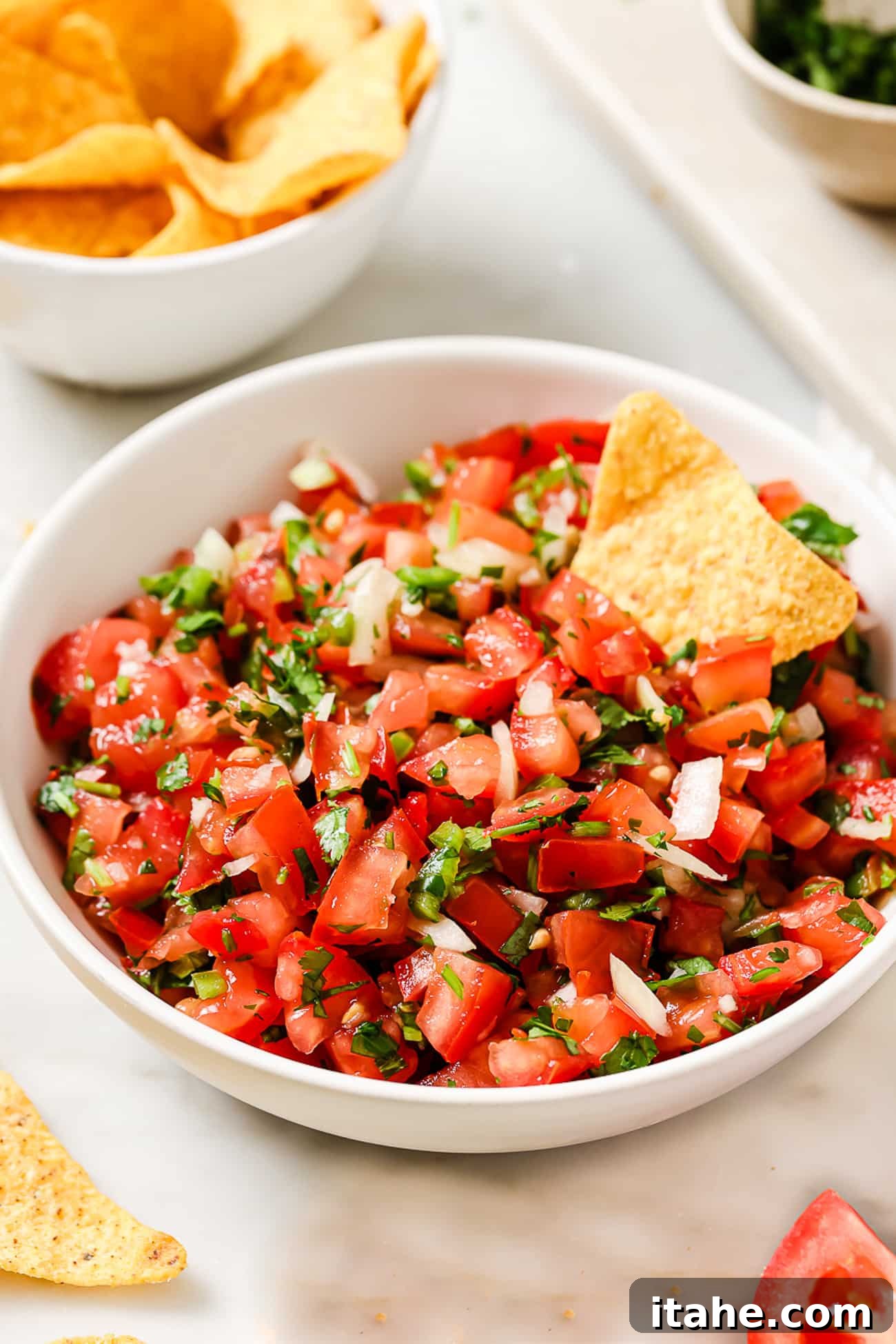 A bowl of pico de gallo with one chip in it and a bowl of chips in the background.