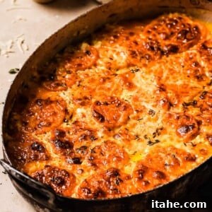 overhead view of sweet potato gratin