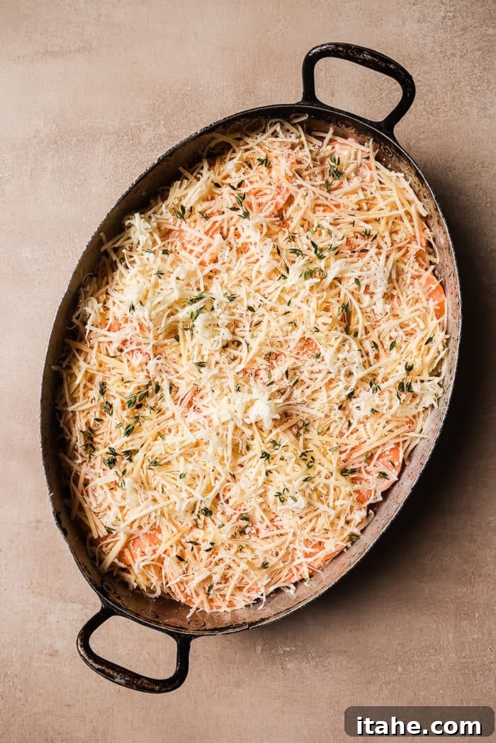 A sweet potato gratin in an oval baking dish, ready for the oven, topped with extra cheese.
