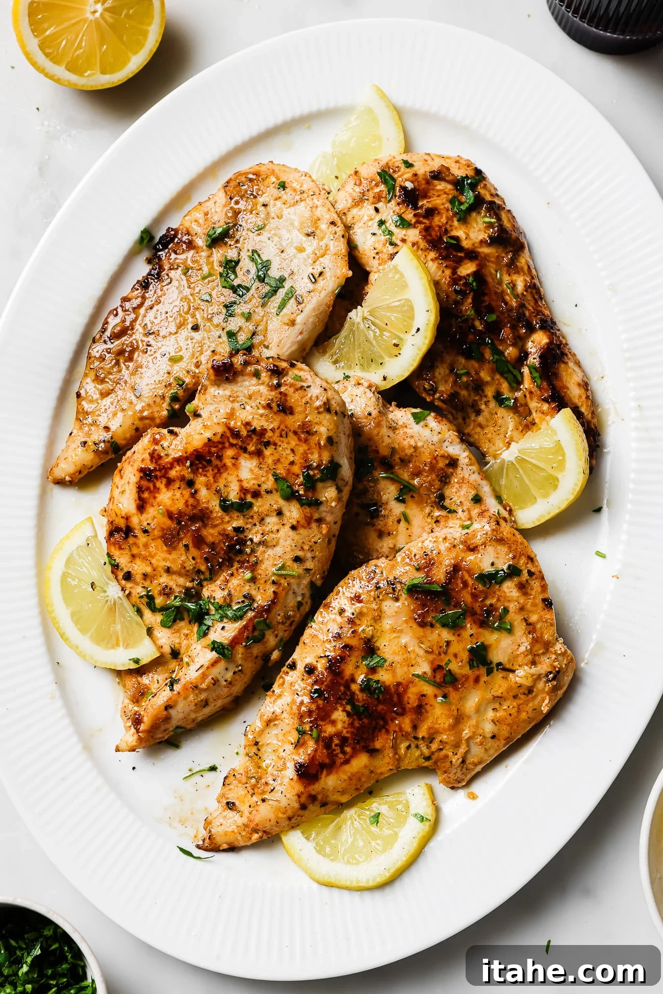Creamy Yogurt Chicken Breasts 8 Yogurt-marinated chicken breasts garnished with lemon slices and parsley on a white serving dish.
