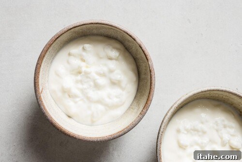 cottage cheese and yogurt in a bowl, ready to be prepared for a healthy breakfast.