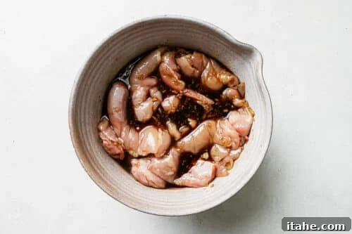 a large bowl with chicken and teriyaki sauce
