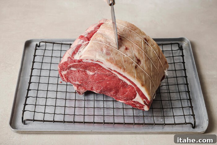 Scoring the fat cap of a raw prime rib roast on a wire rack to prepare it for reverse searing.