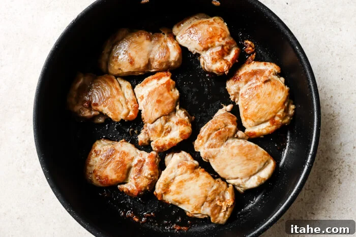 Sticky Honey Garlic Thighs 5 Raw chicken thighs in a cast iron skillet, ready to cook for an easy honey garlic chicken recipe.
