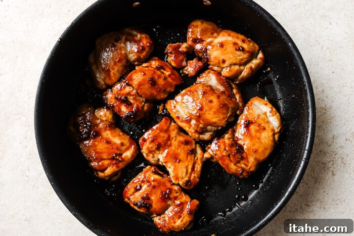 Sticky Honey Garlic Thighs 6 Honey garlic chicken thighs sizzling in a cast iron skillet, glazed with a sweet and savory sauce.