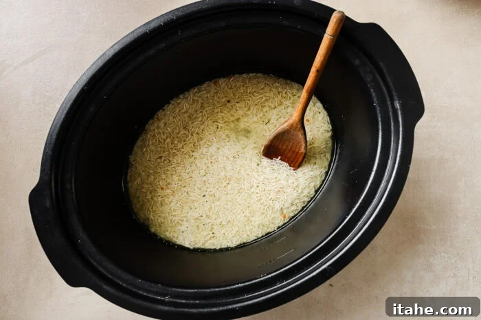 Overhead view of uncooked long grain white rice in a slow cooker pot, ready for broth.