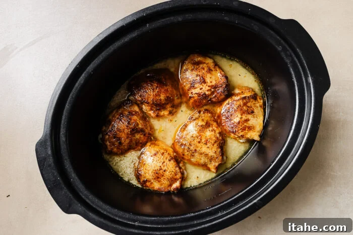 Overhead view of uncooked rice and seared chicken thighs arranged in a slow cooker pot.