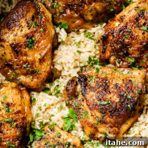 Closeup of chicken and rice inside of a slow cooker bowl, ready to serve.